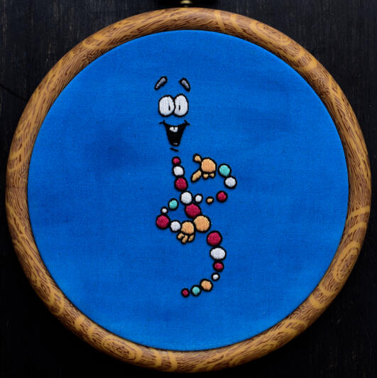 bingo! dino dna, 2023